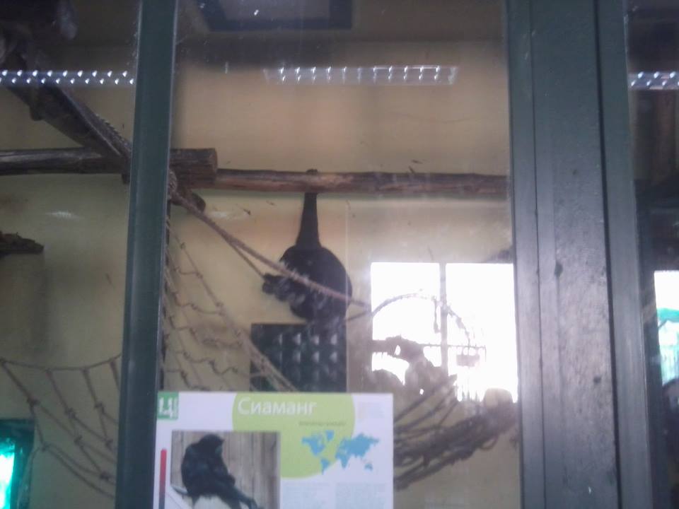 Skopje zoo & Bitola zoo