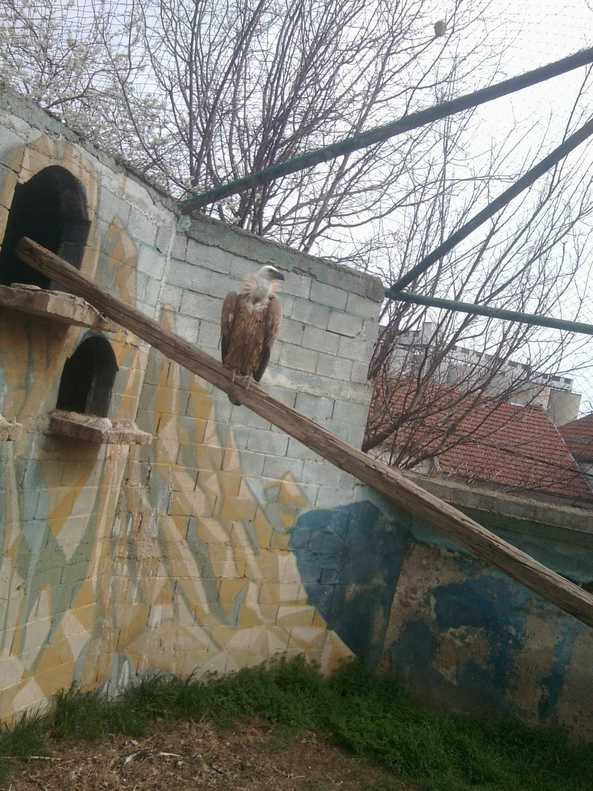 Skopje zoo & Bitola zoo