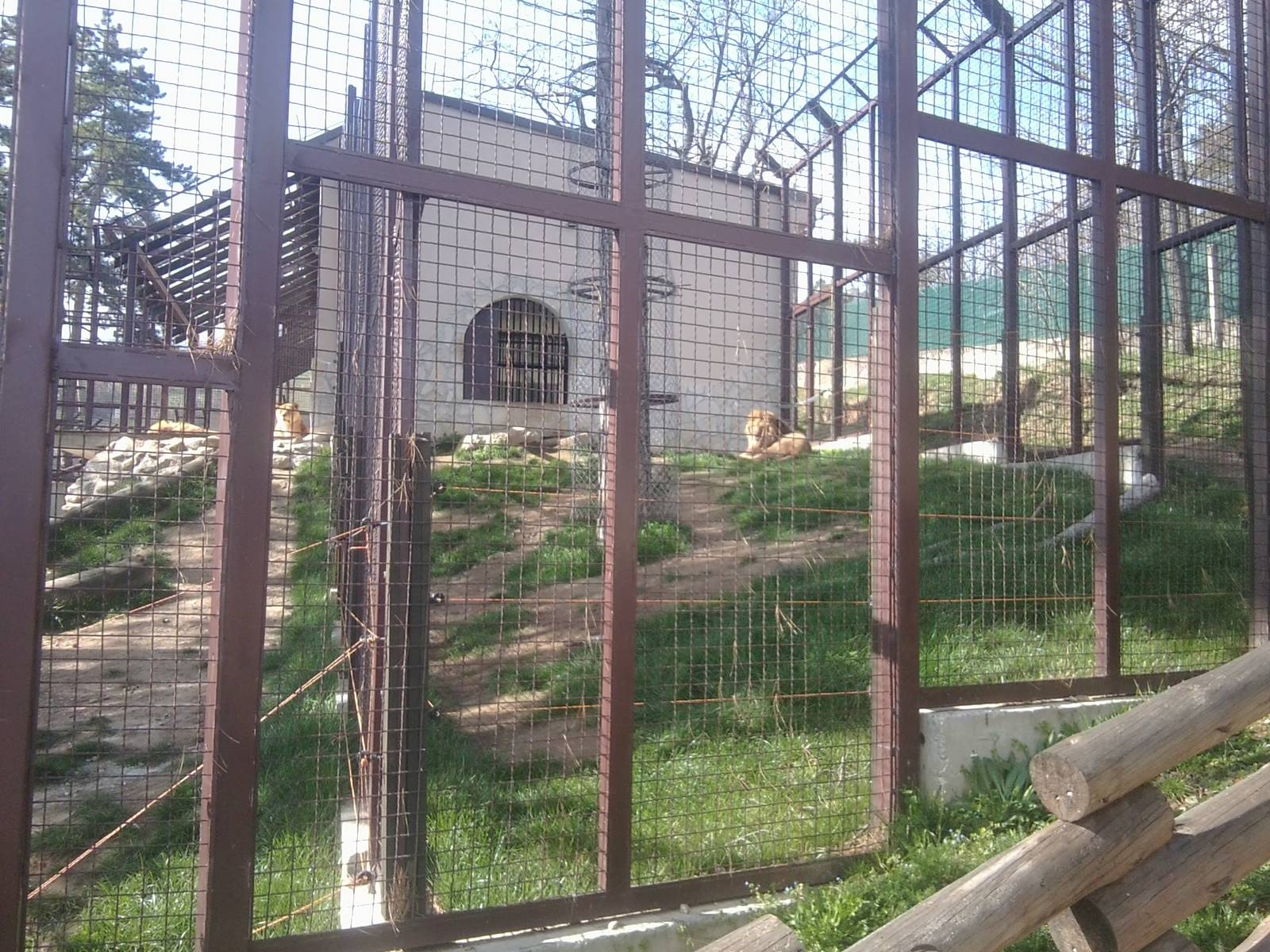 Skopje zoo & Bitola zoo