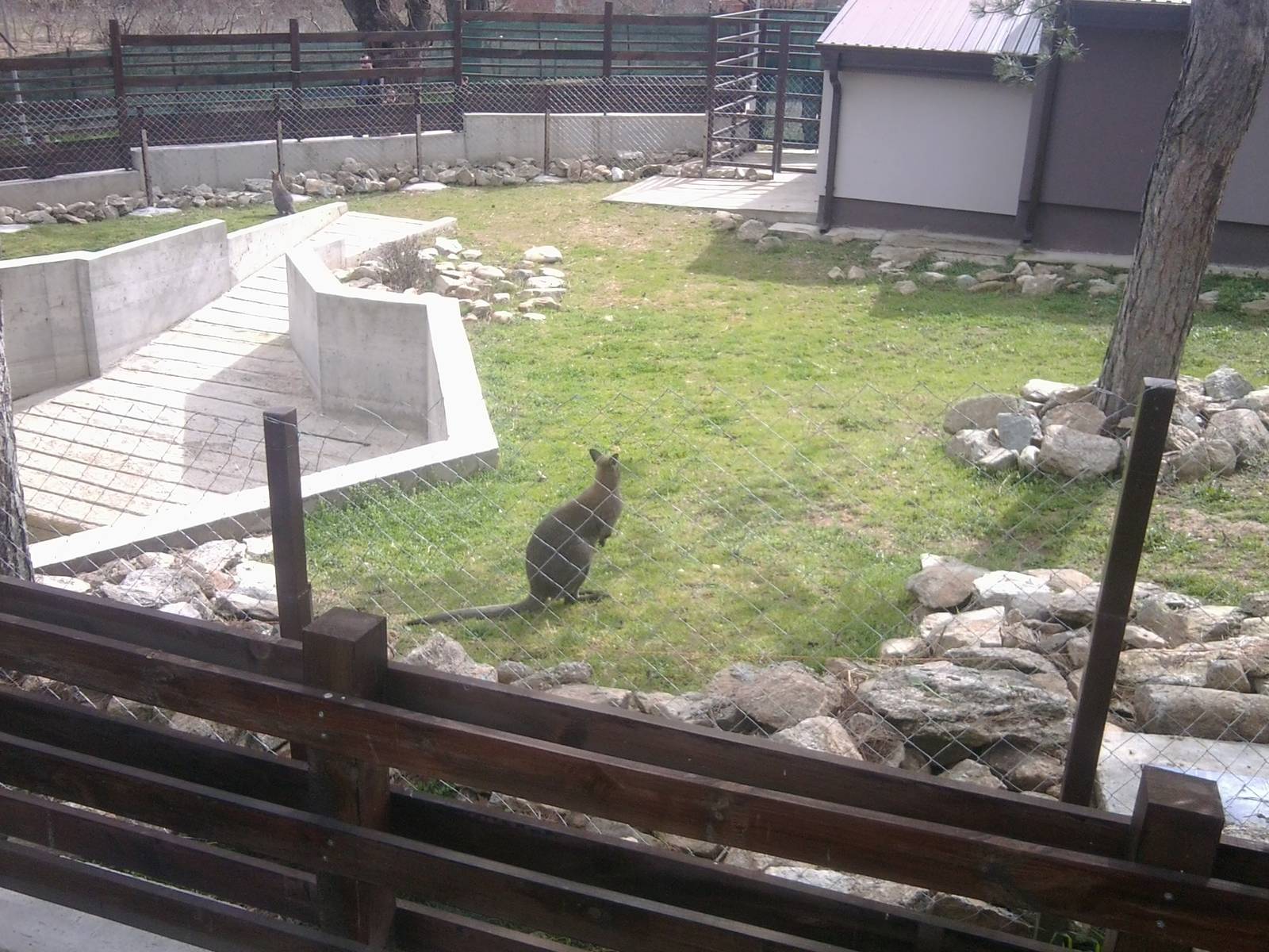 Skopje zoo & Bitola zoo
