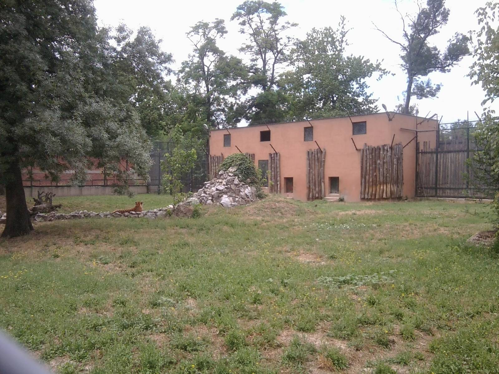 Skopje zoo walk June 29th, 2016, on a hot and humid day
