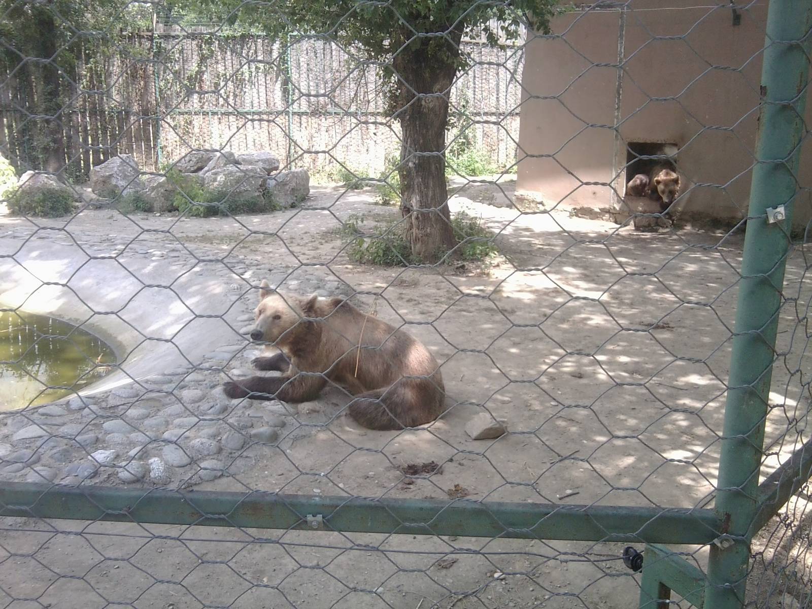 Skopje zoo walk June 29th, 2016, on a hot and humid day