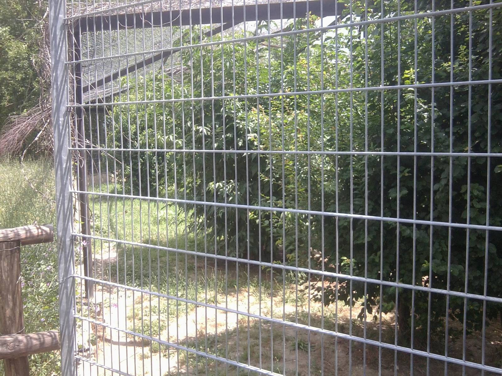 Skopje zoo walk June 29th, 2016, on a hot and humid day