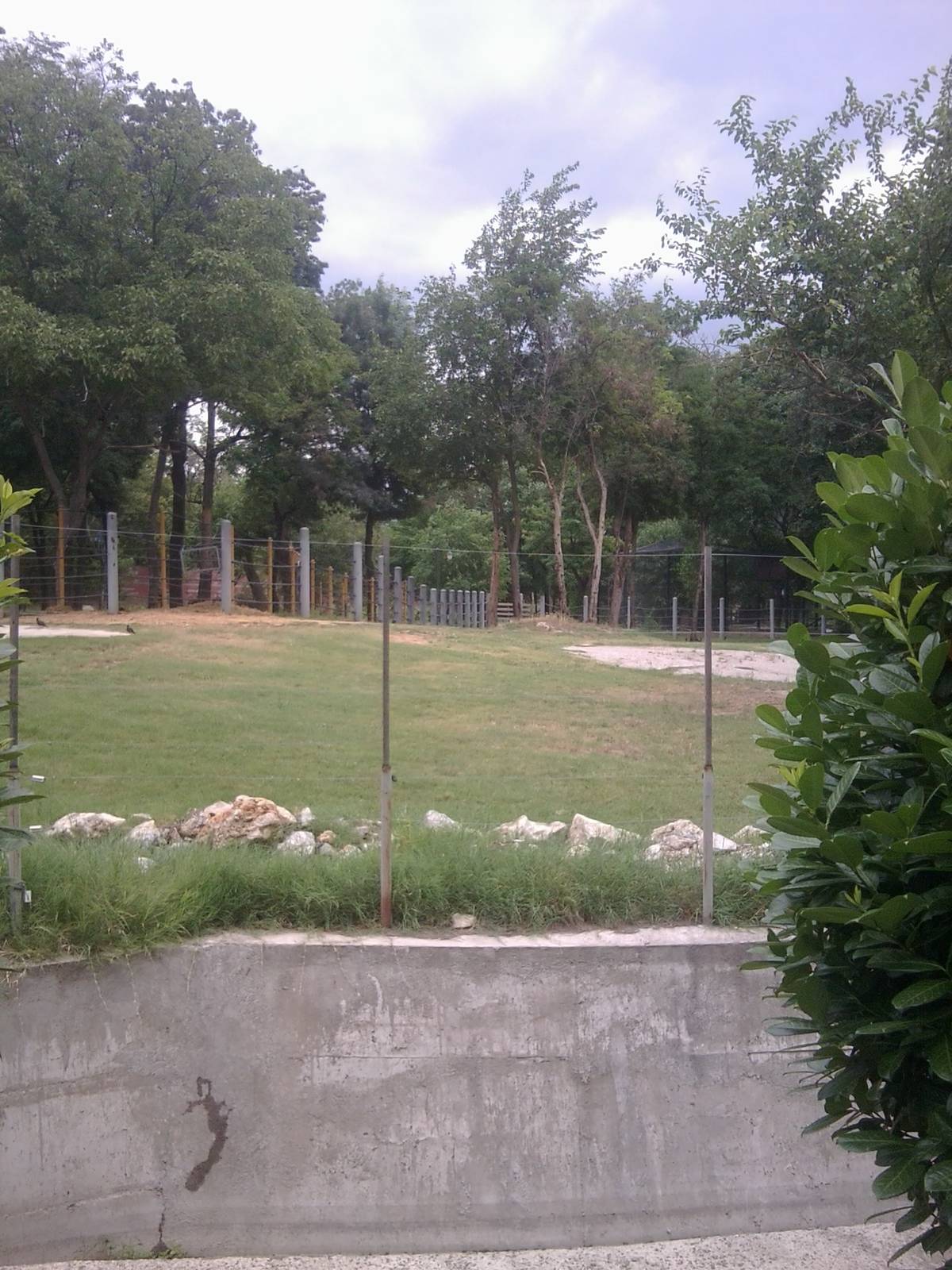 Skopje zoo walk June 29th, 2016, on a hot and humid day