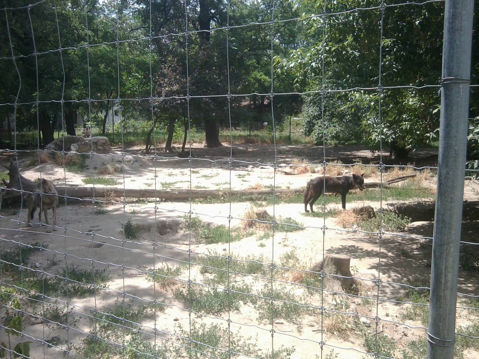 Skopje zoo walk June 29th, 2016, on a hot and humid day
