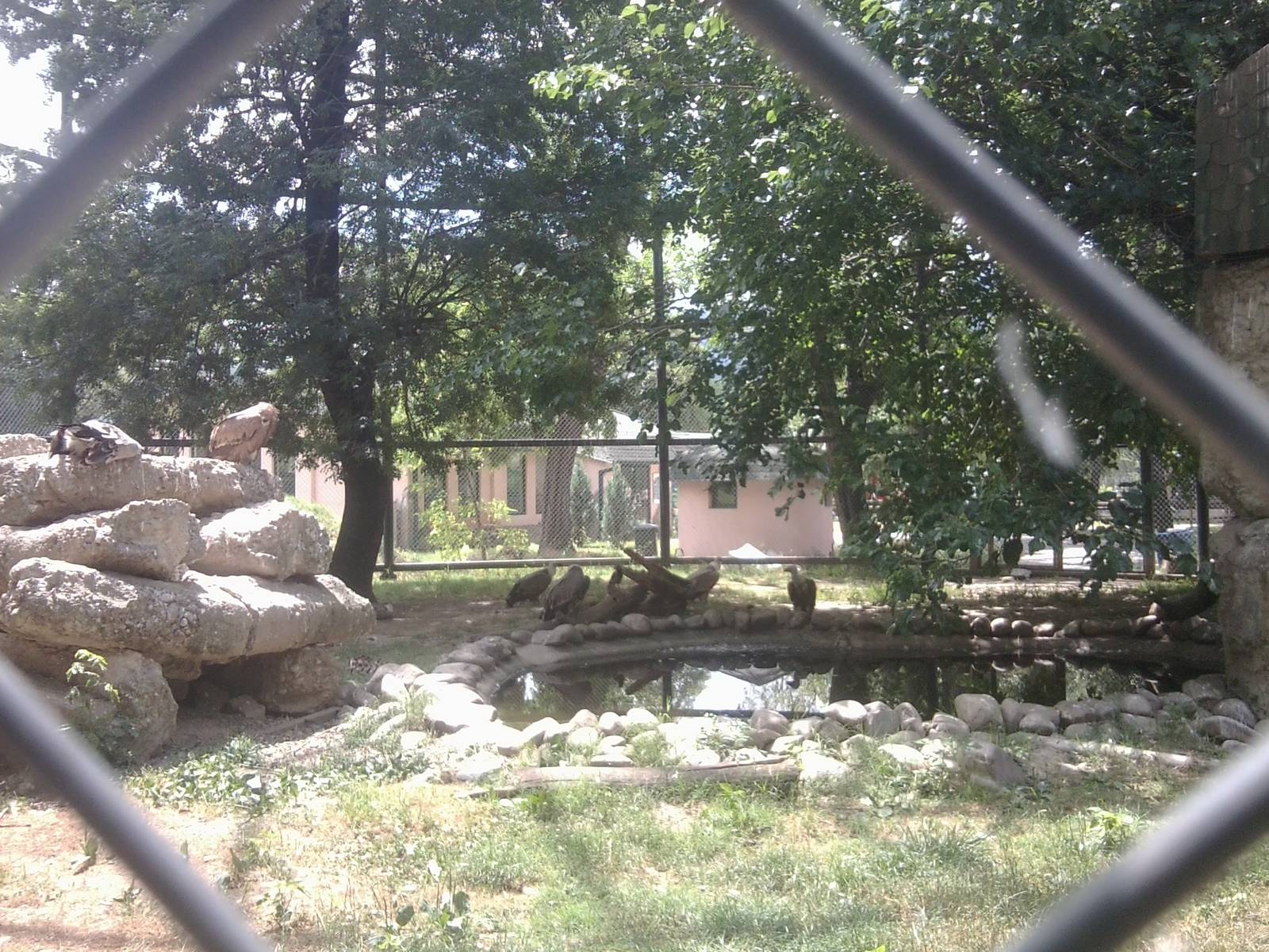 Skopje zoo walk June 29th, 2016, on a hot and humid day