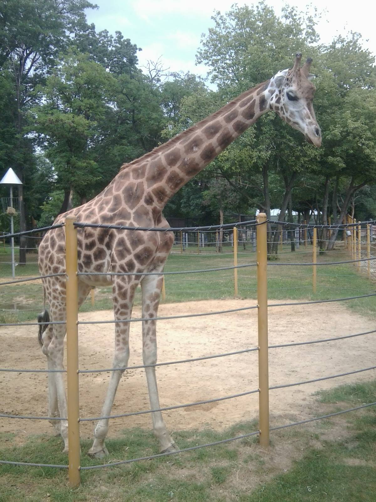 Skopje zoo walk June 29th, 2016, on a hot and humid day