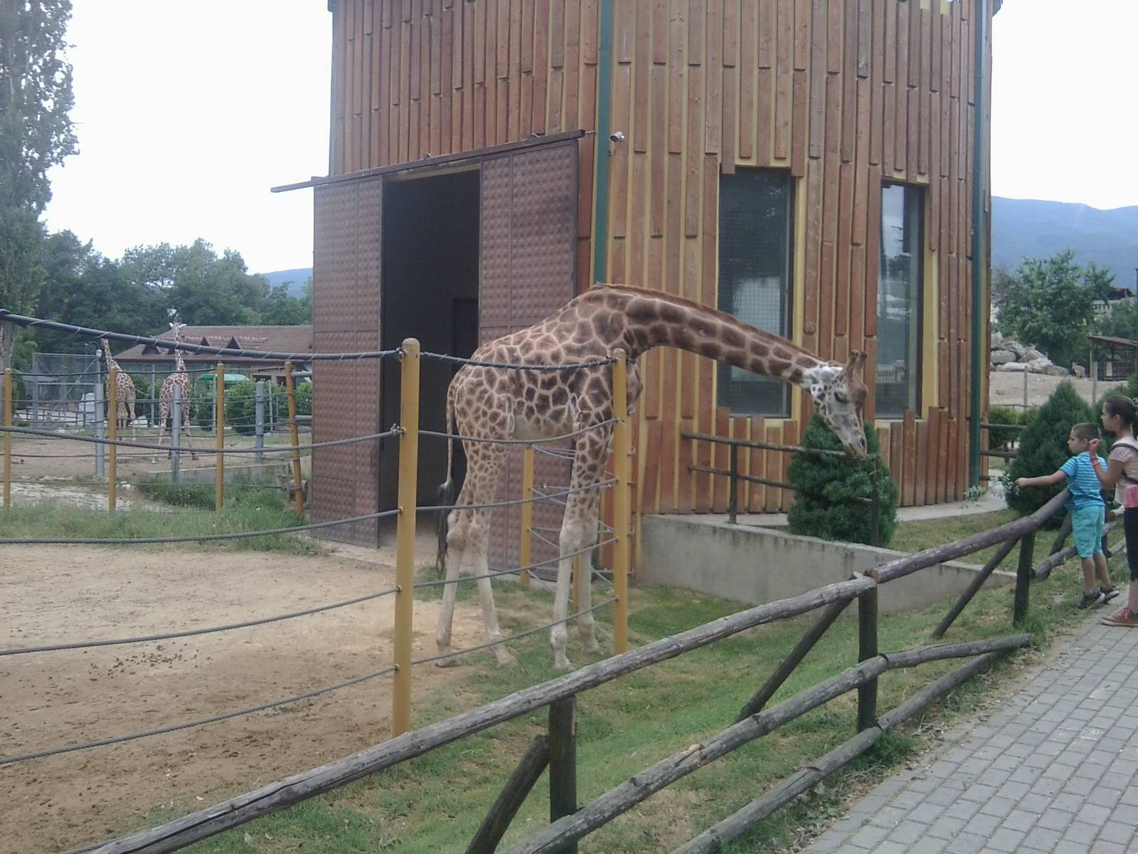 Skopje zoo walk June 29th, 2016, on a hot and humid day