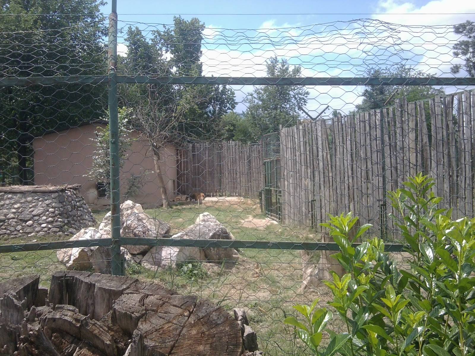 Skopje zoo walk June 29th, 2016, on a hot and humid day