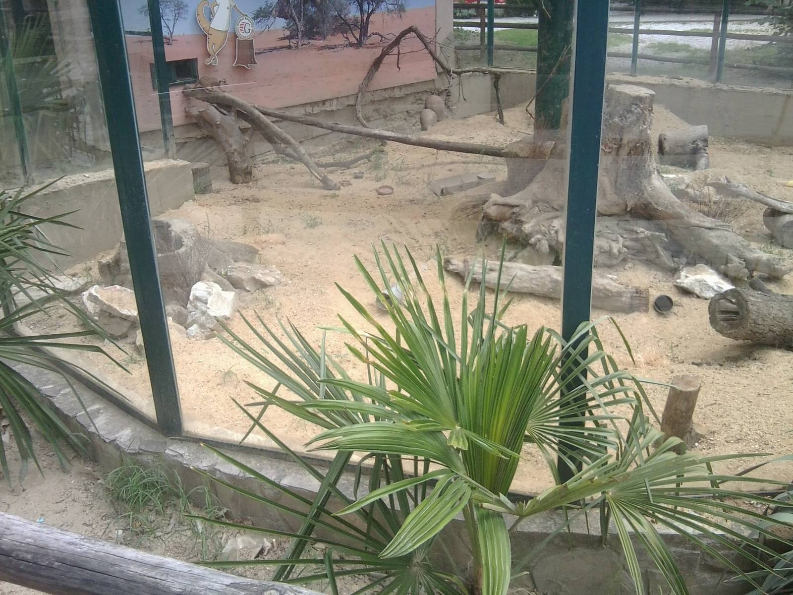 Skopje zoo walk June 29th, 2016, on a hot and humid day