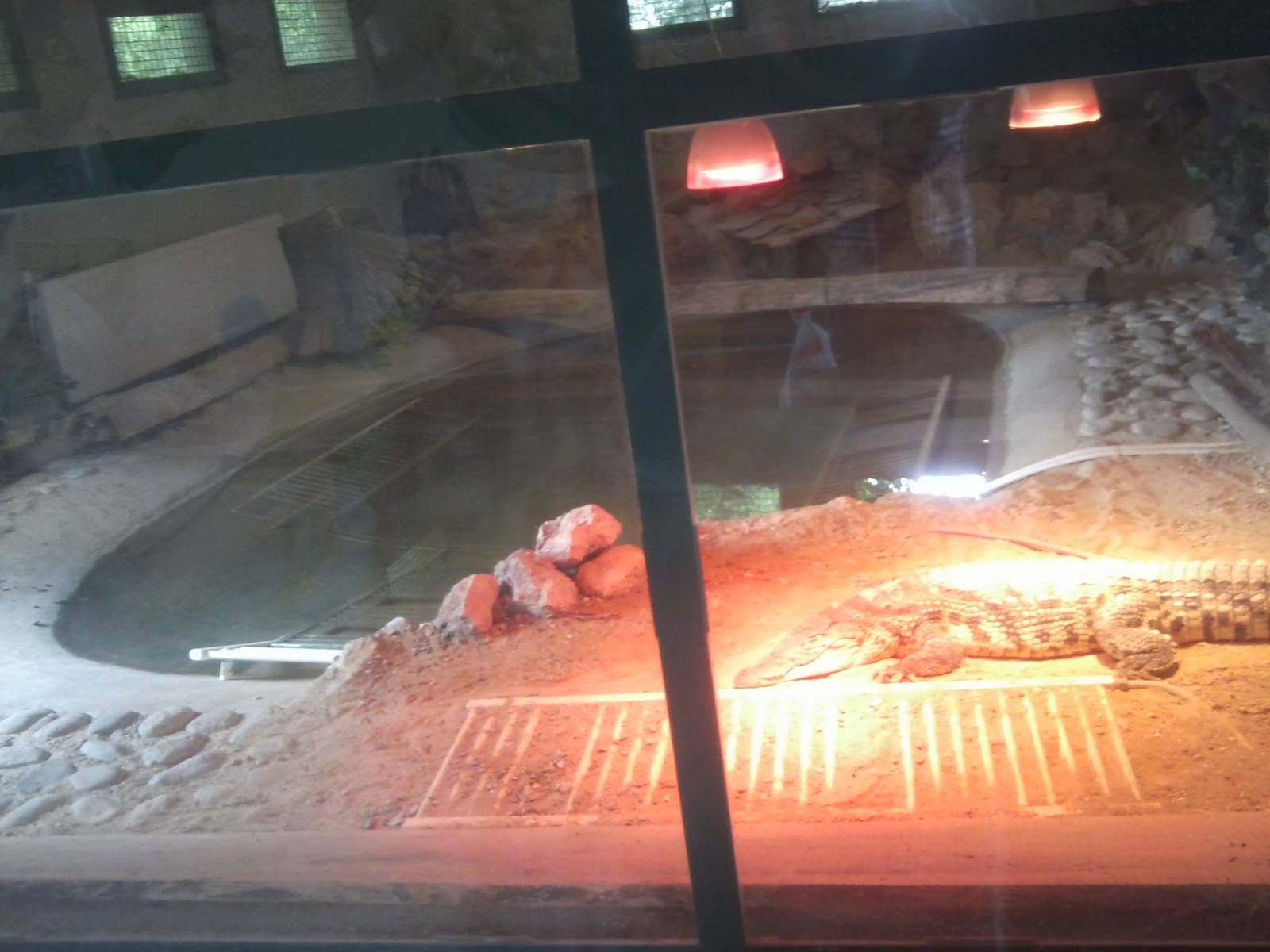 Skopje zoo walk June 29th, 2016, on a hot and humid day