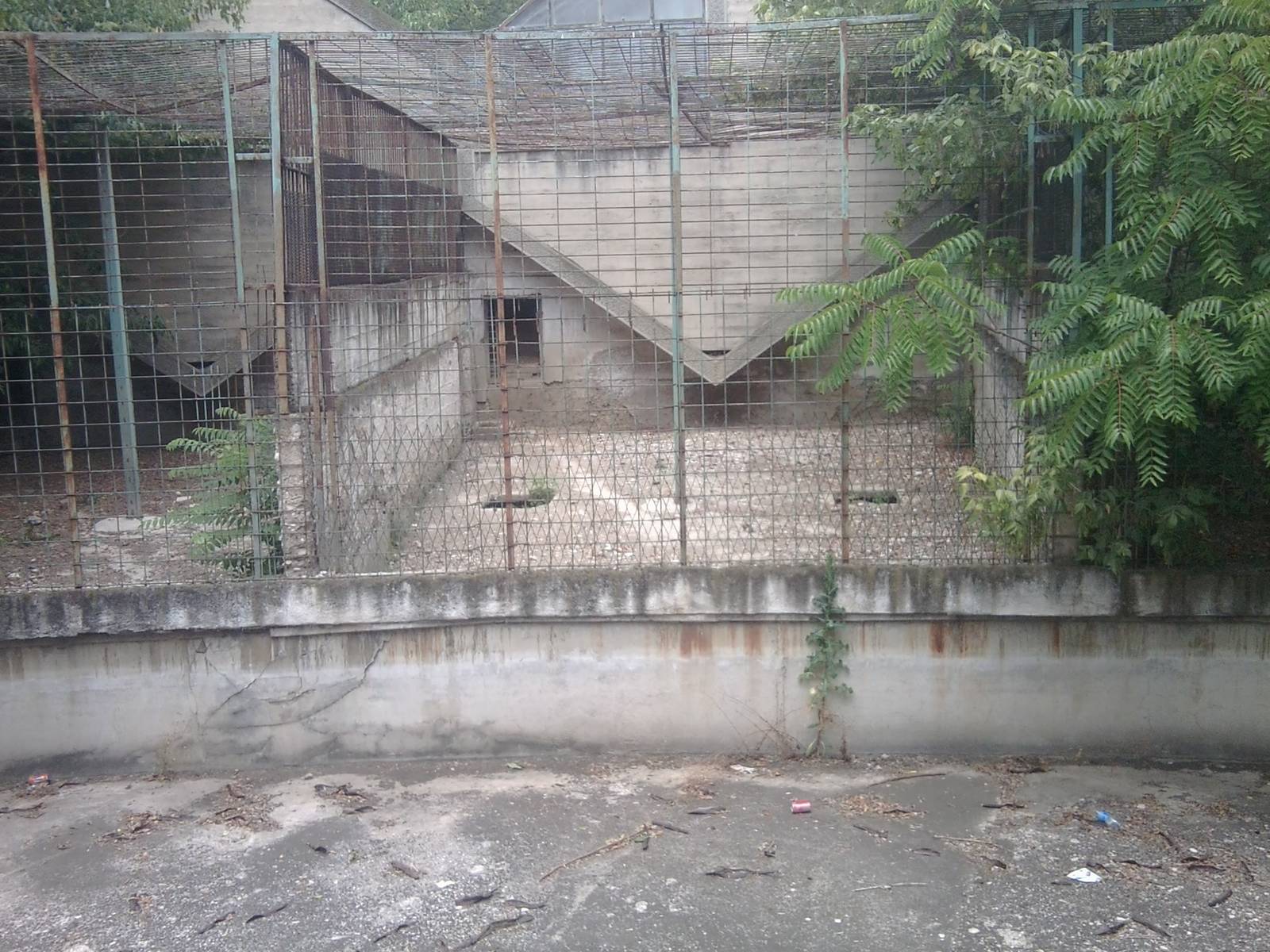 Skopje zoo walk June 29th, 2016, on a hot and humid day