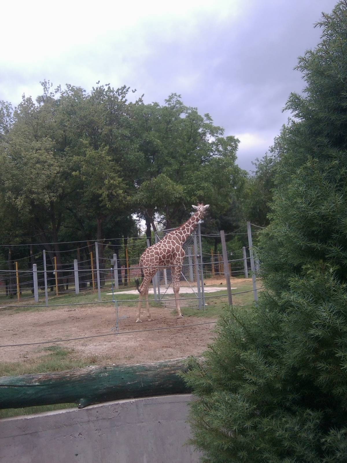 Skopje zoo walk June 29th, 2016, on a hot and humid day