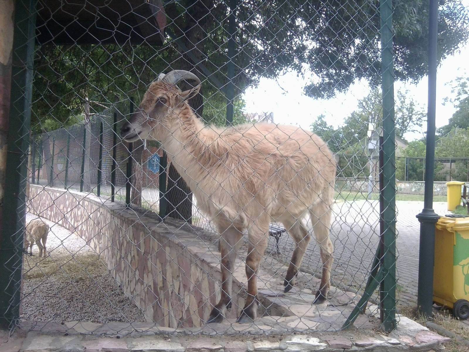 Skopje zoo walk June 29th, 2016, on a hot and humid day