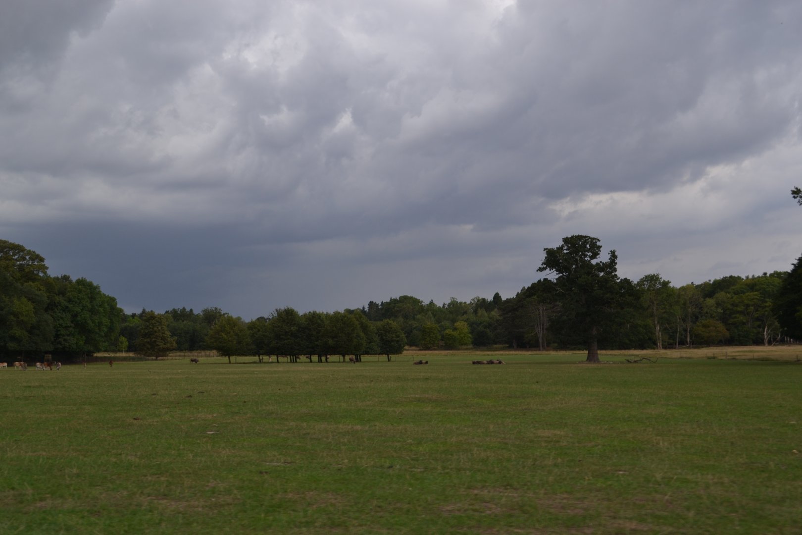 Skovriddersletten in Knuthenborg