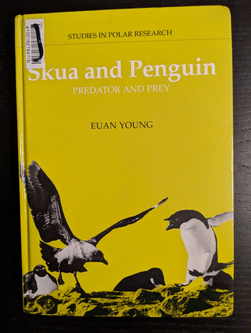 Skua and Penguin: Predator and Prey