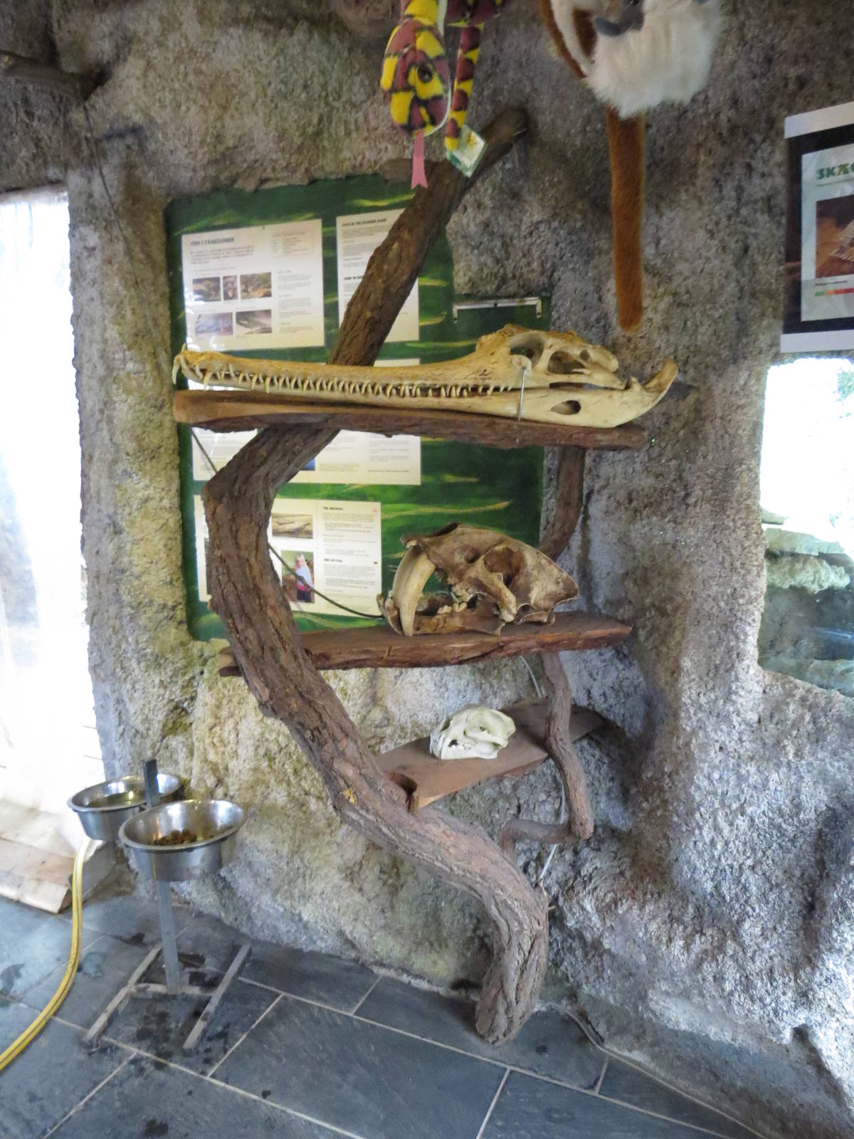 Skull display, June 2015.