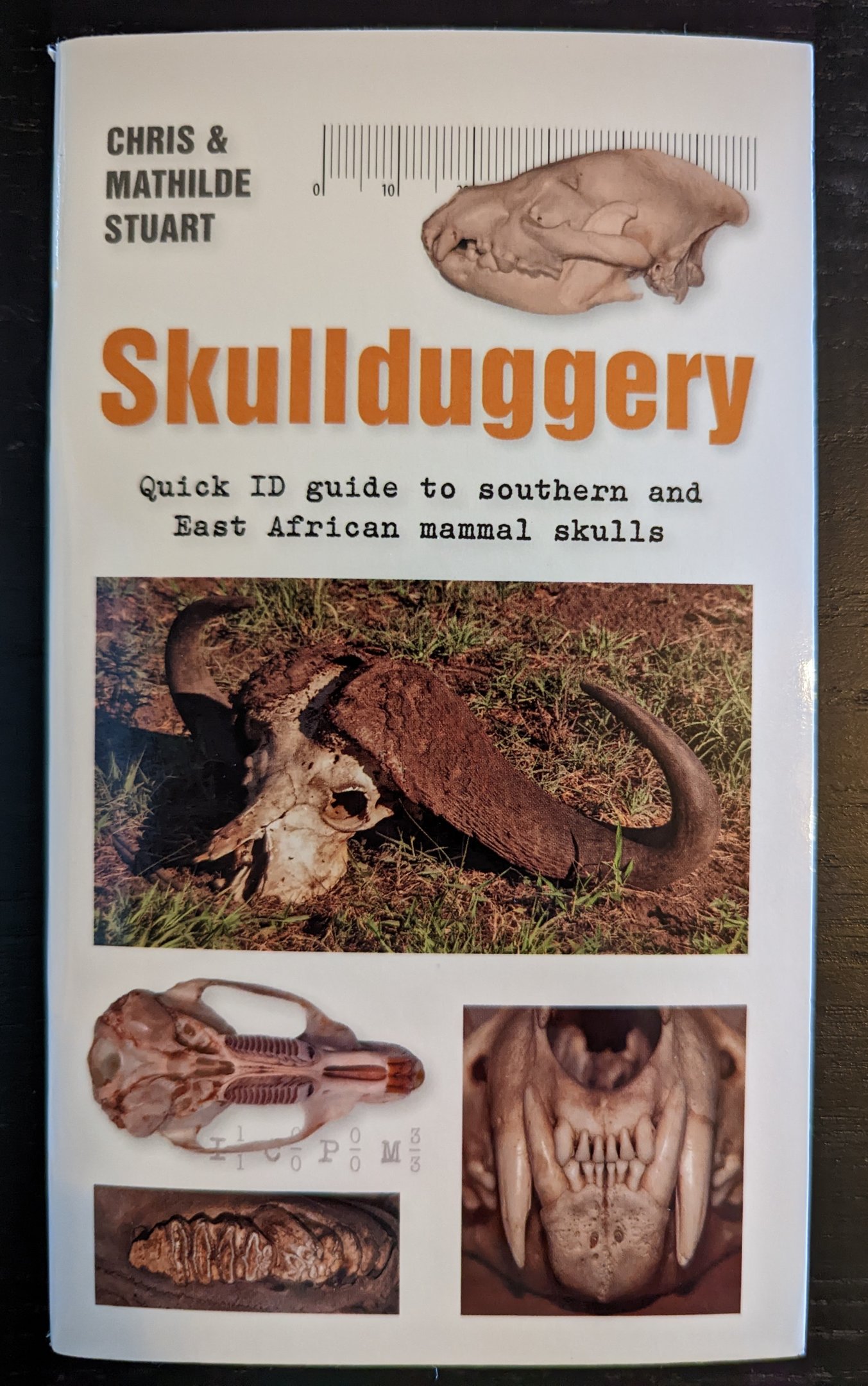 Skullduggery: Quick ID Guide to Southern and East African Mammals Skulls