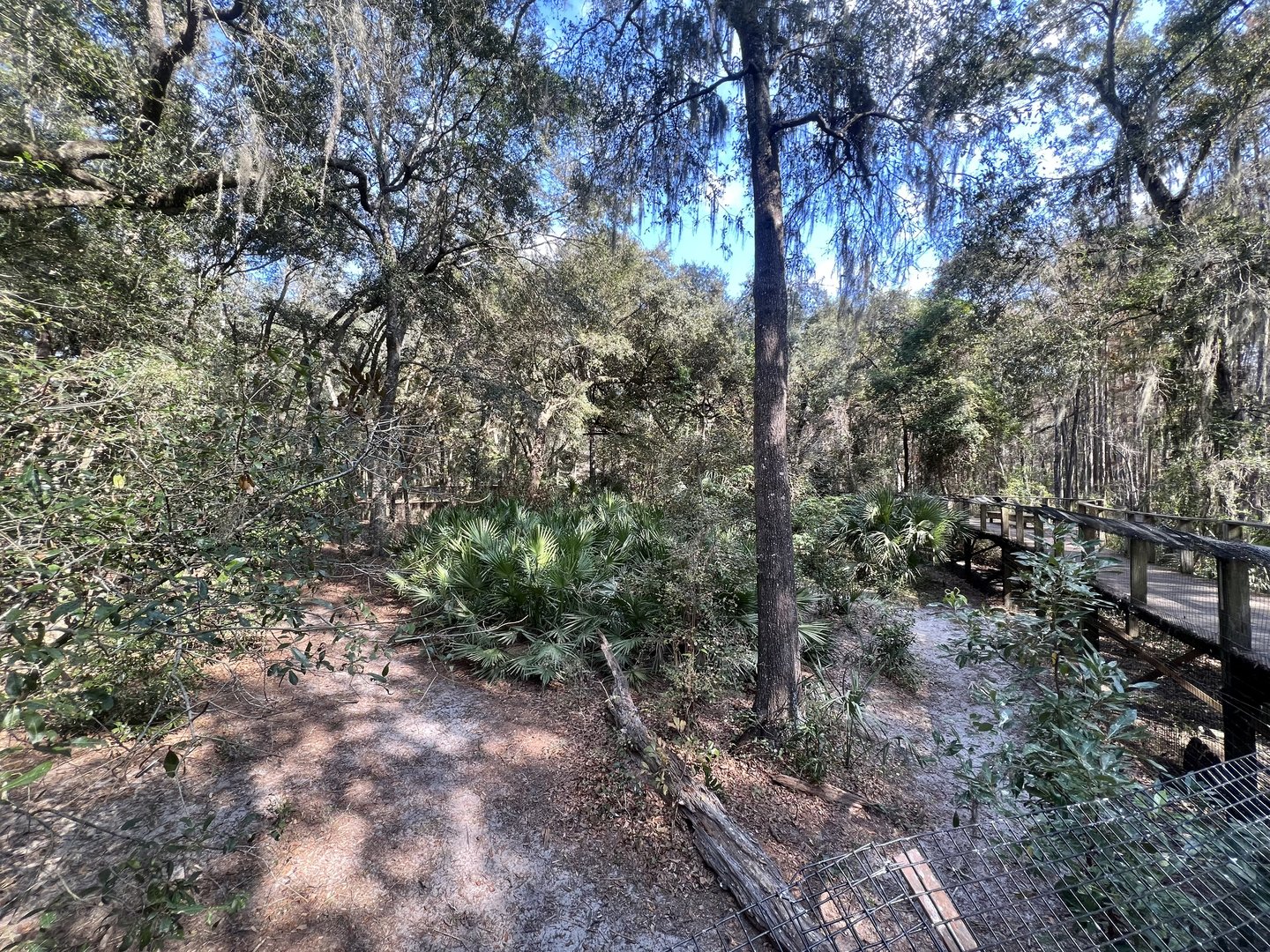 Skunk and Fox Exhibit (No Shows)