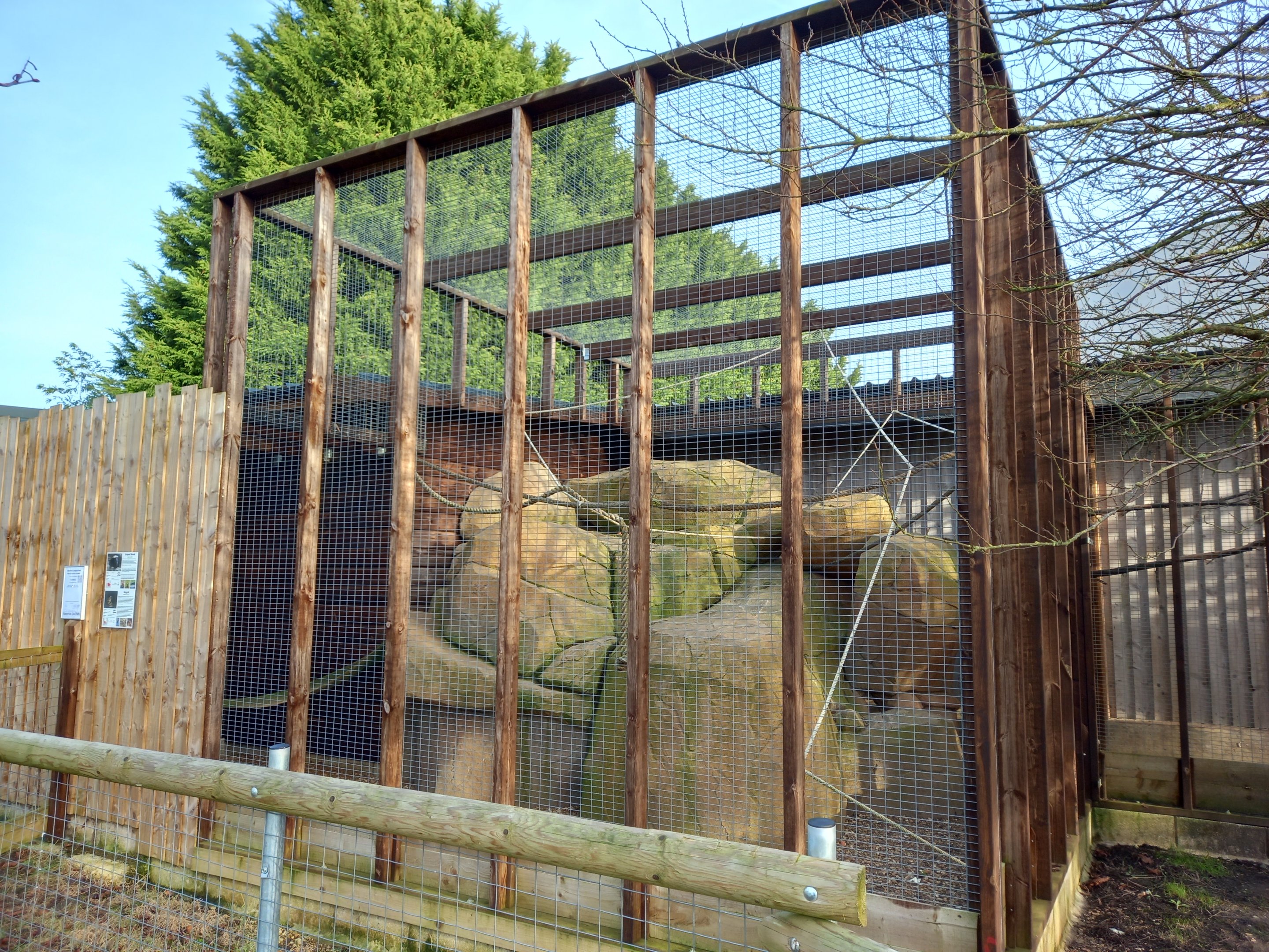 Skunk and Ringtail enclosure