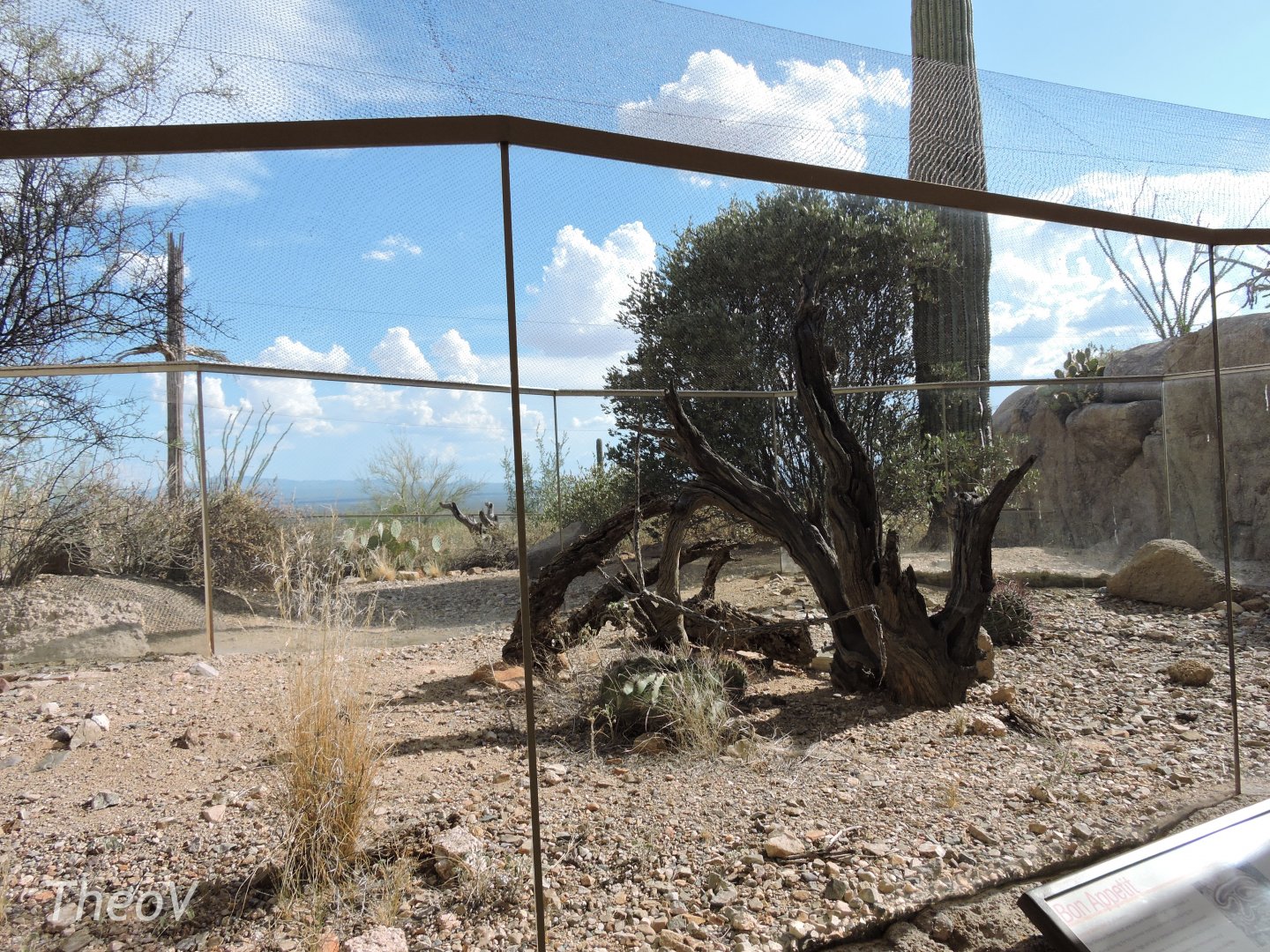 Skunk and squirrel exhibit [2015]