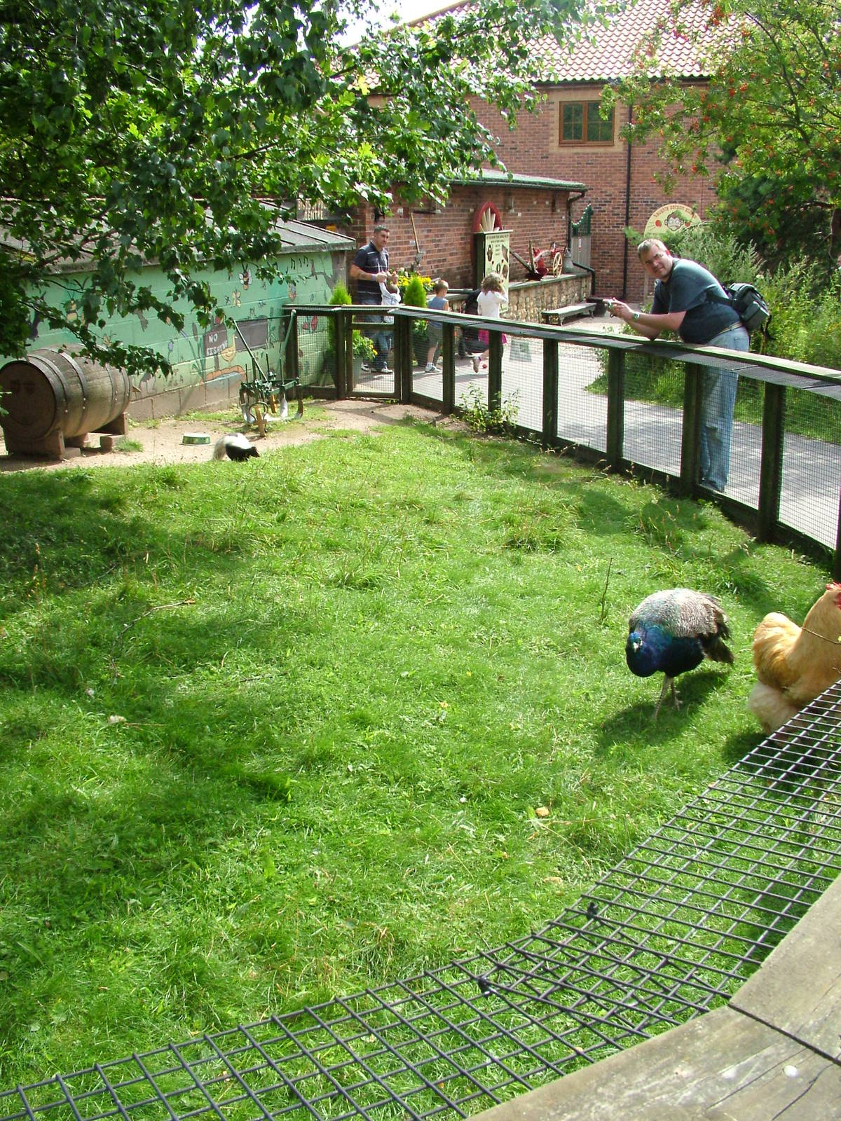 Skunk enclosure at Tropical Butterfly House 02/08/09