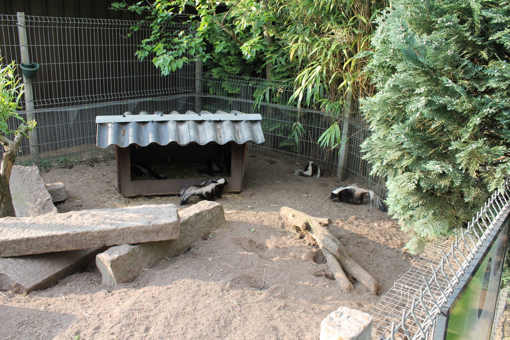 Skunk-enclosure
