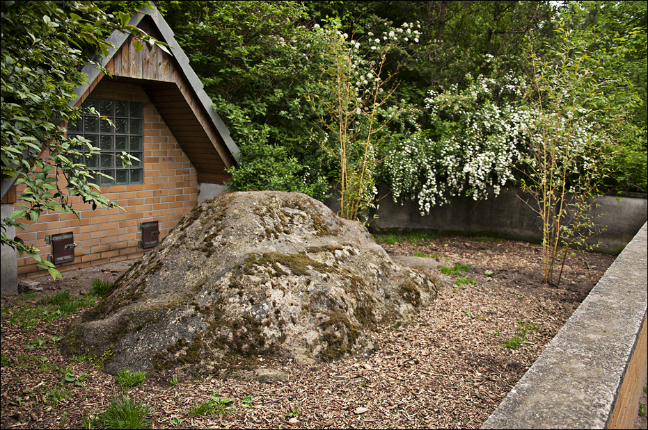 Skunk-exhibit at Thüle
