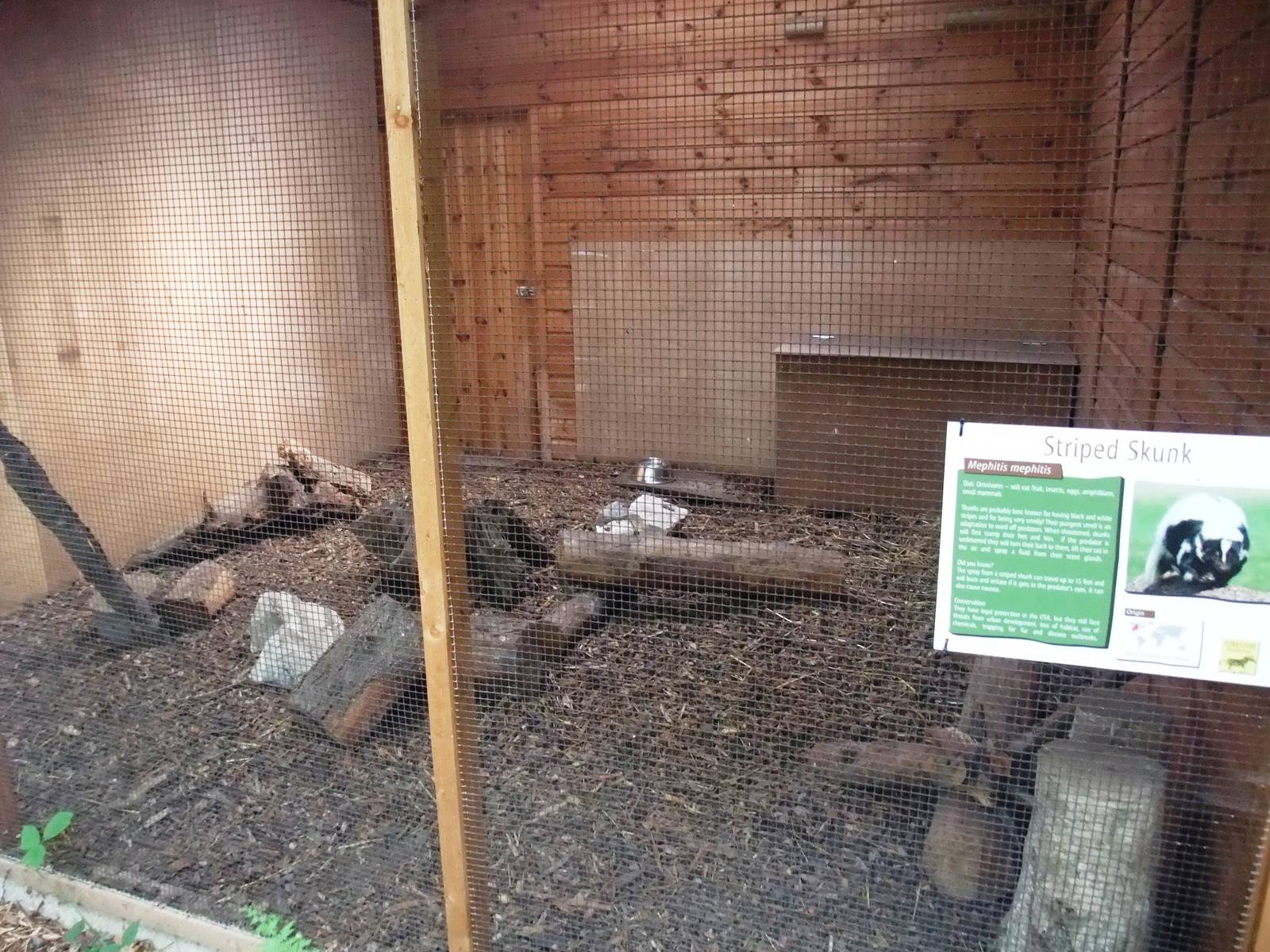 Skunk Exhibit at Yorkshire WP, 05/08/12