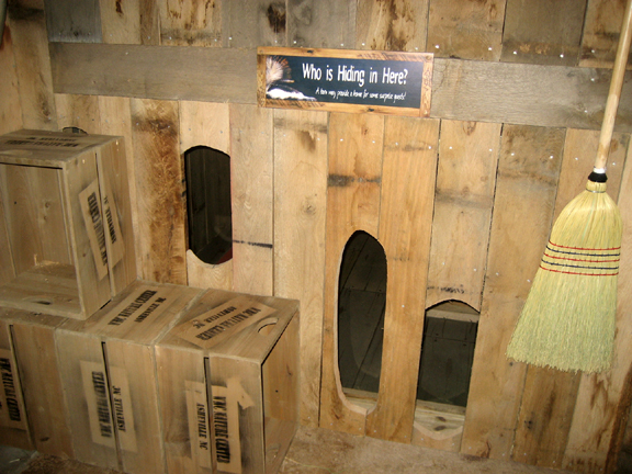 skunk exhibit-peek throughs