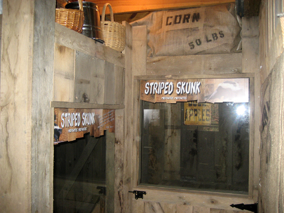 skunk exhibit - viewing windows