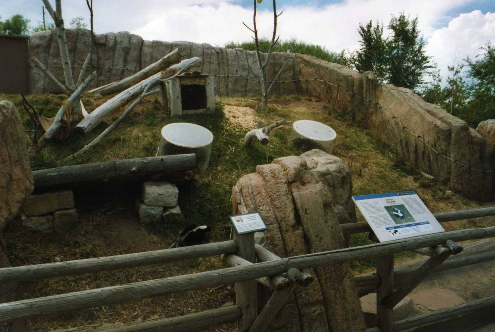Skunk Exhibit