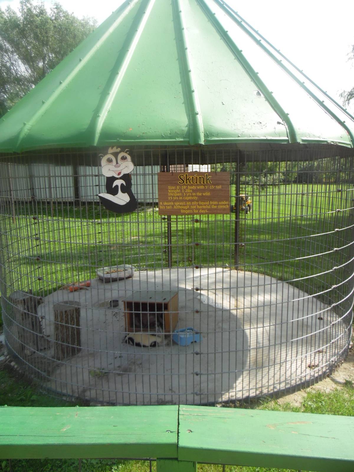 Skunk Exhibit