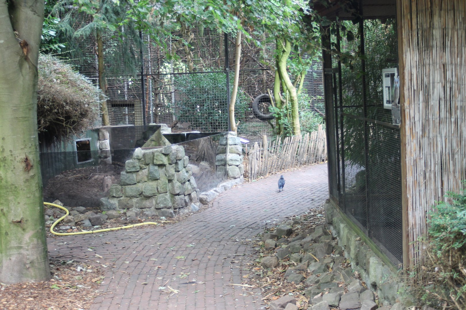 Skunk ( on the left ), Capucine ( at the end ) and owl-enclosures ( on the right )