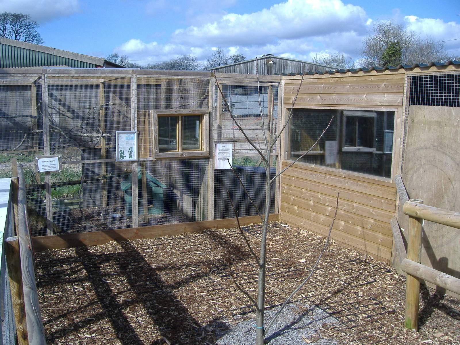 Skunks and Civets Axe Valley