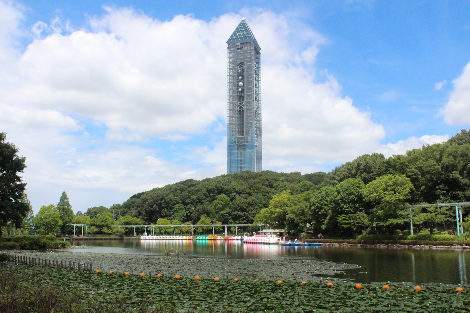 Sky tower view from the zoo