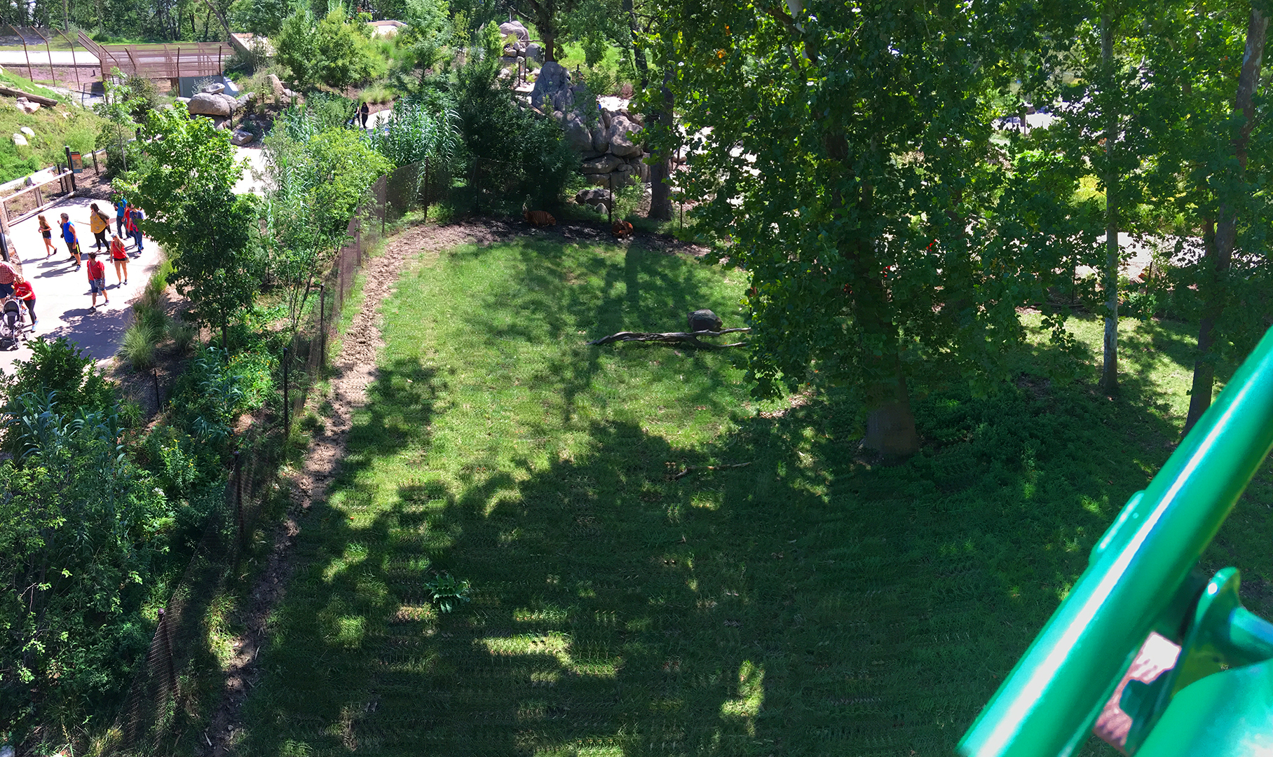 Skyfari: Bongo & Blue Crane Exhibit