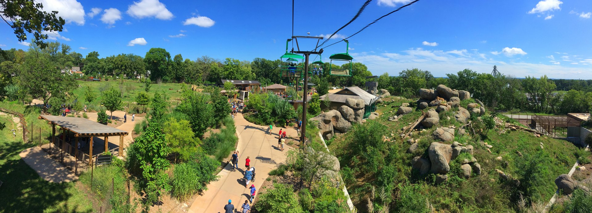 Skyfari: Bongo, Lion & Sable Antelope Exhibits