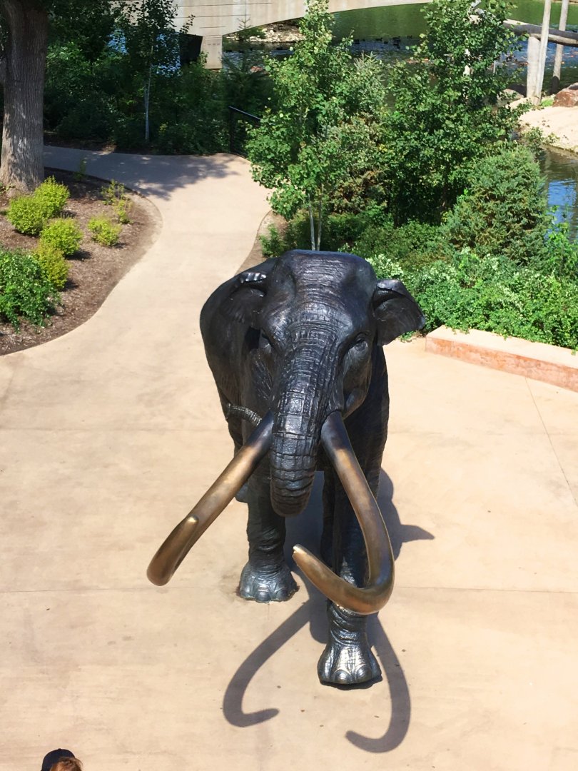 Skyfari: Mammoth Plaza 1