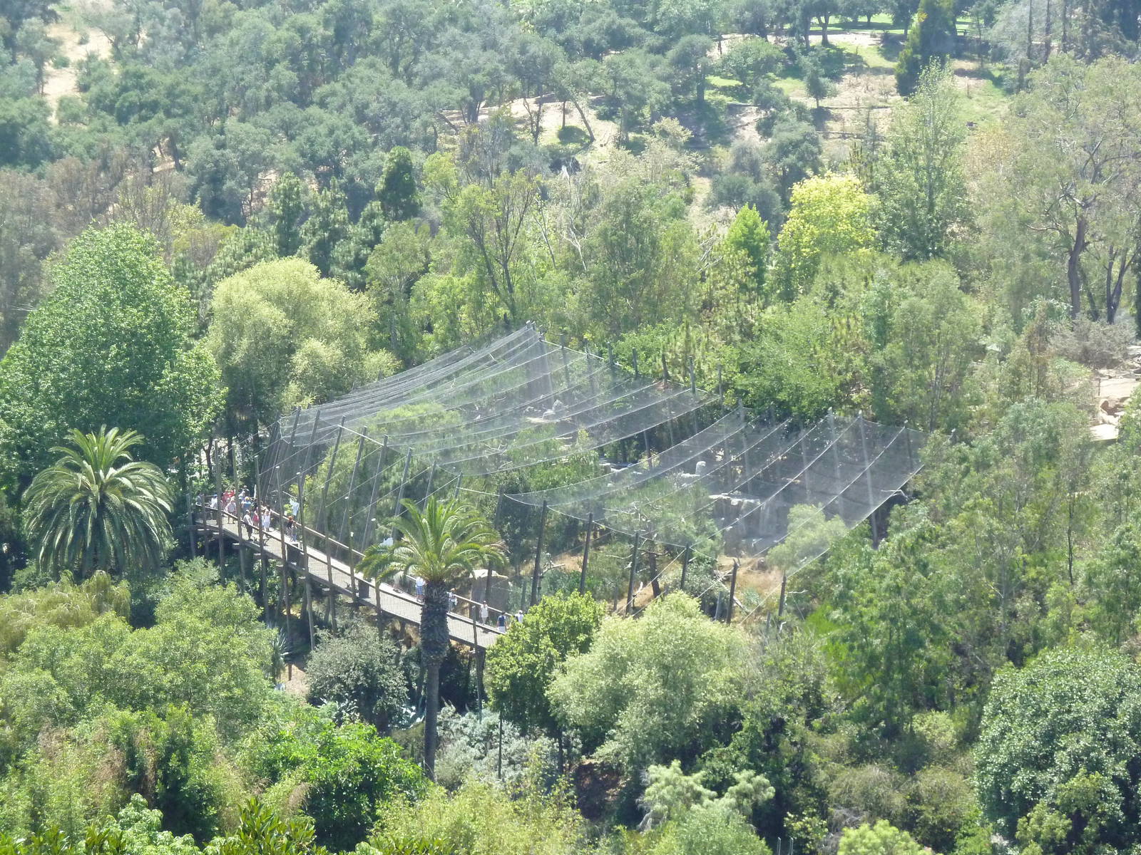 Skyfari Ride - Birds Of Prey Aviaries