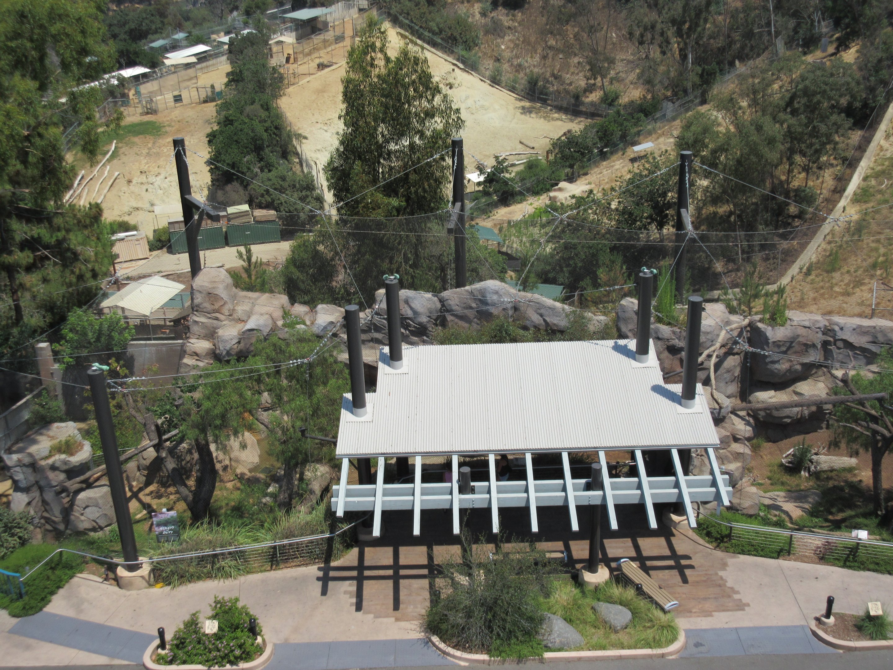 Skyfari Ride - Cougar Exhibit