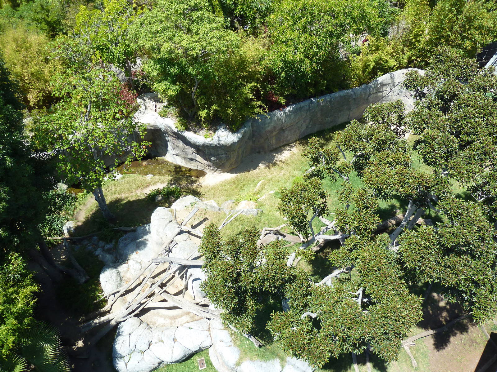 Skyfari Ride - Gorilla Exhibit