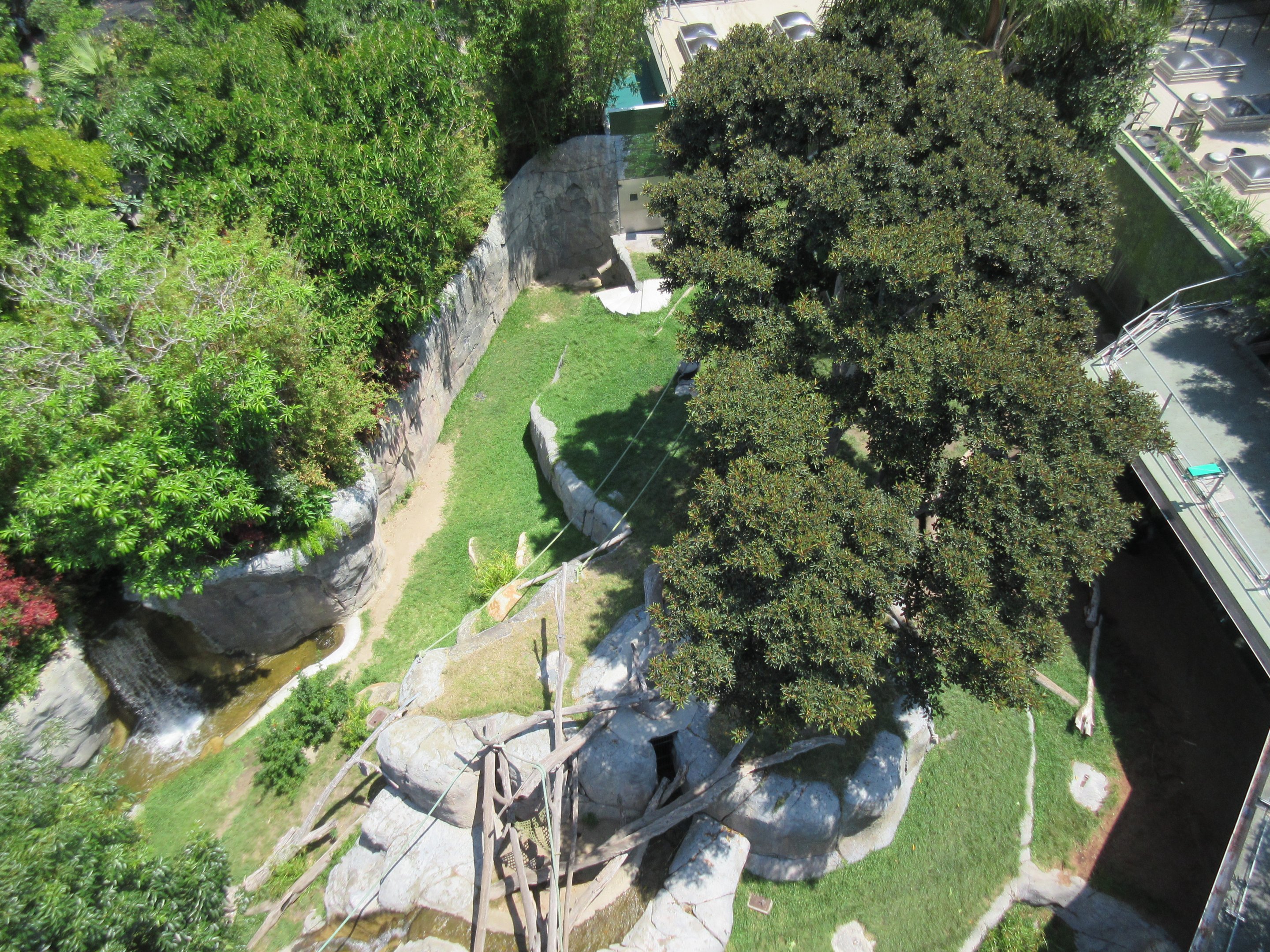 Skyfari Ride - Lowland Gorilla Exhibit