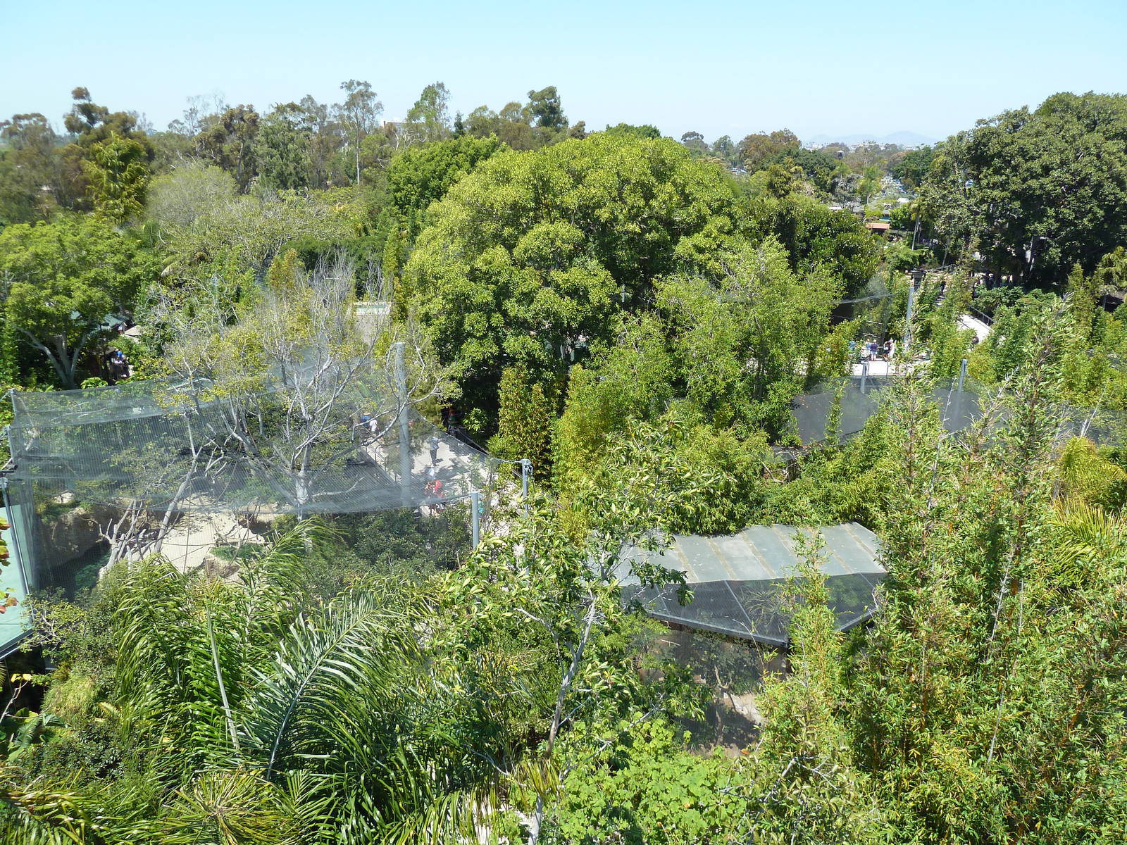 Skyfari Ride - Monkey Trails + Forest Tales Area