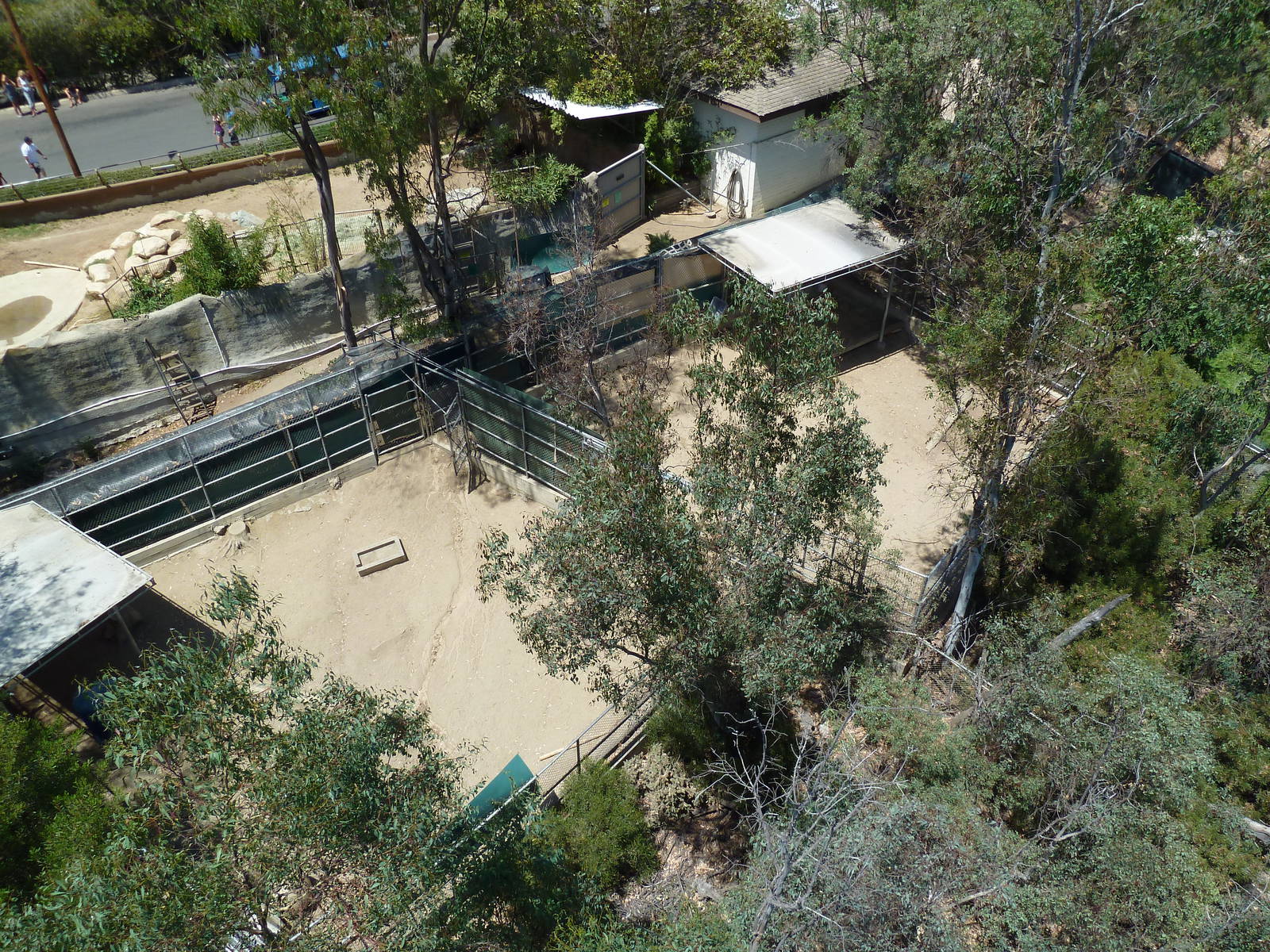 Skyfari Ride - Off-Exhibit Hoofstock Enclosures