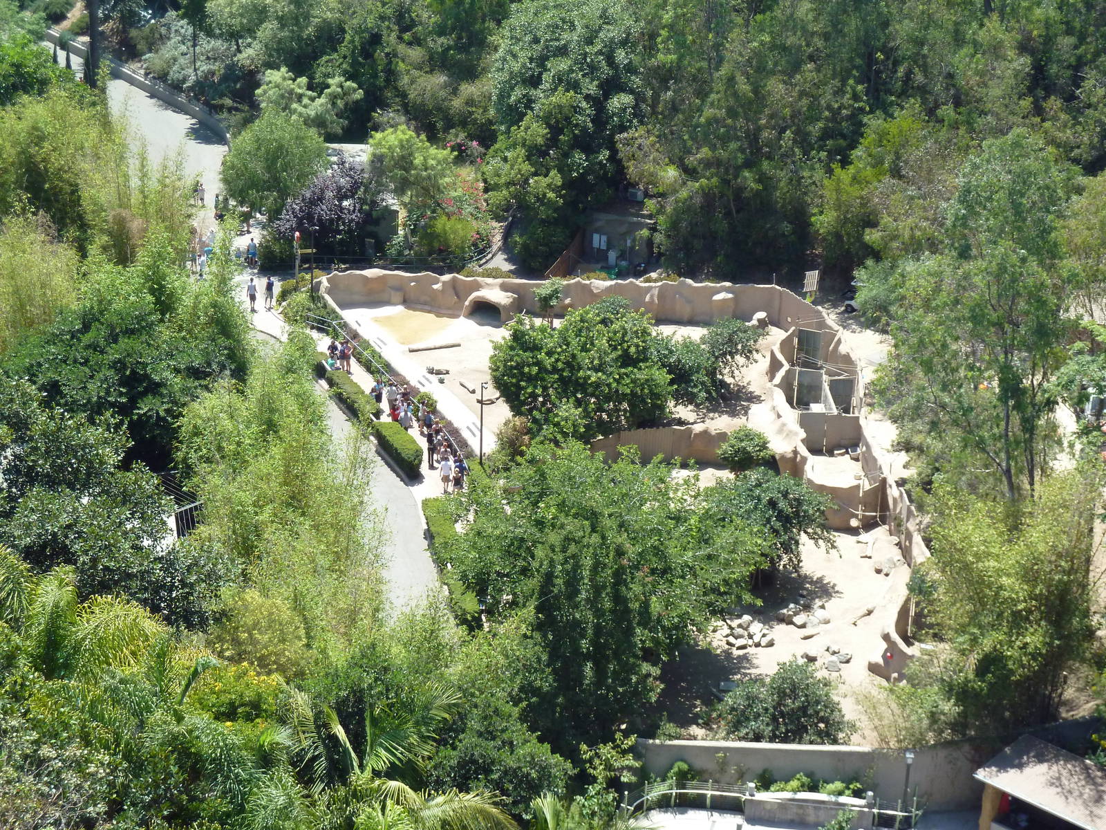 Skyfari Ride - Red River Hog Exhibit