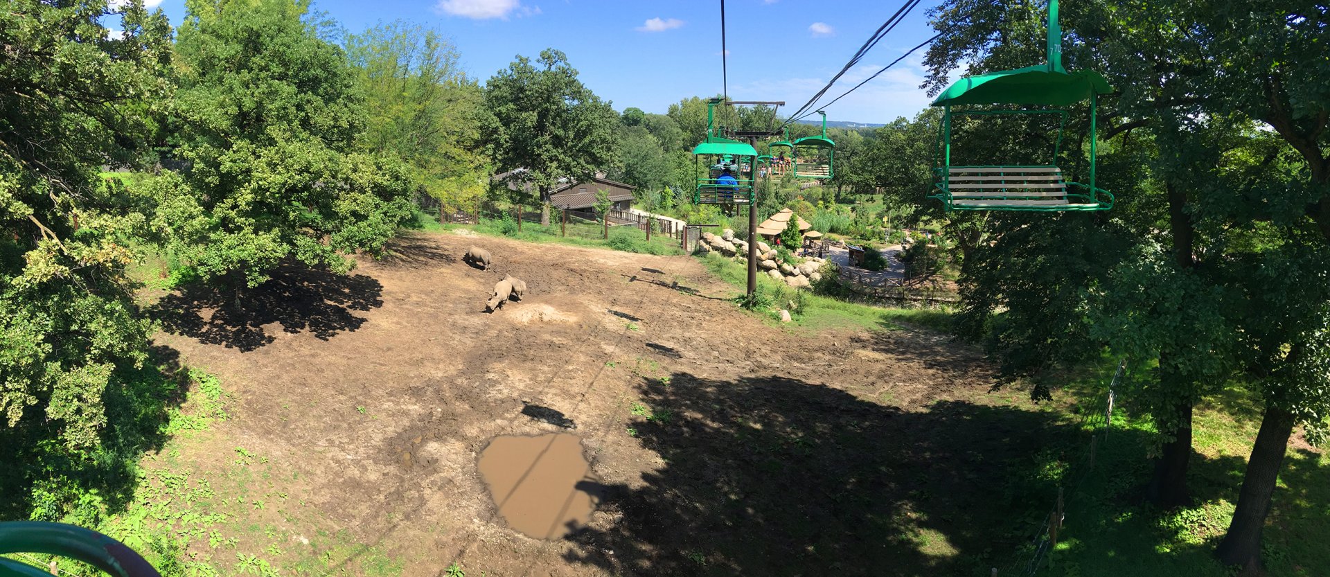 Skyfari: White Rhino Exhibit