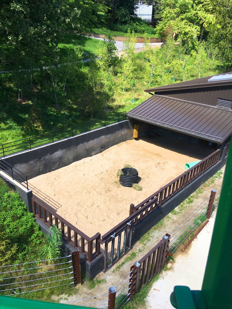 Skyfari: White Rhino Holding Area