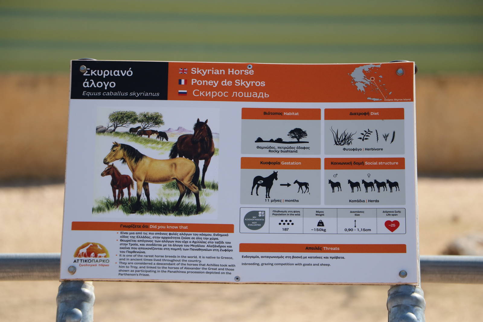 Skyrian horse sign, February 2016