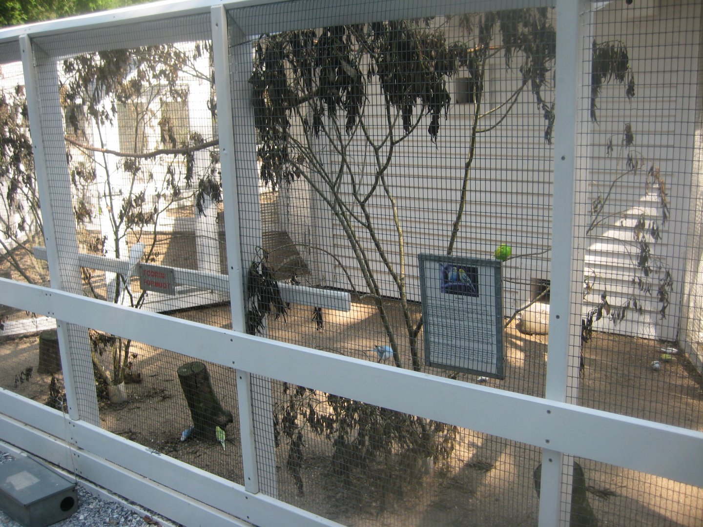 Skyttehushaven - Budgie aviary